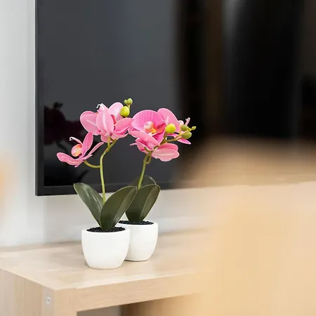 Espacioso Y Bien Equipado Cerca De La Playa סן סבסטיאן