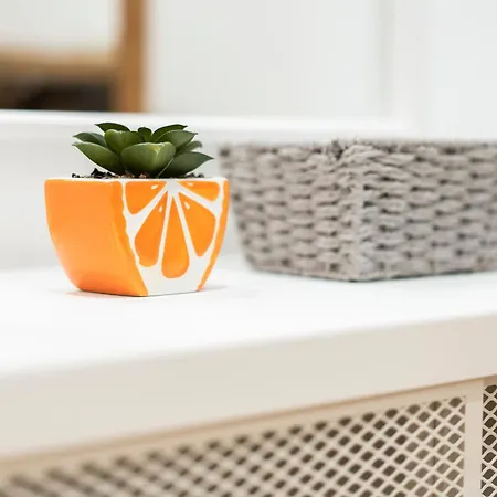 Apartamento Espacioso Y Bien Equipado Cerca De La Playa San Sebastián
