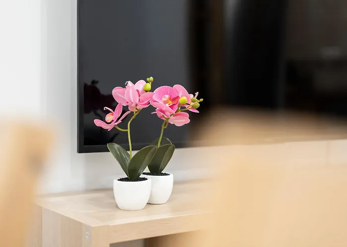 Espacioso Y Bien Equipado Cerca De La Playa サン・セバスティアン